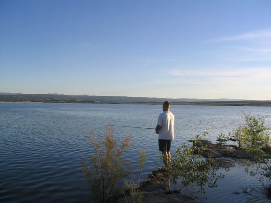 are dogs allowed at starvation reservoir